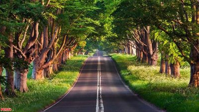 File gốc File tranh phong cảnh PC1254 (ảnh chi tiết) để in trần