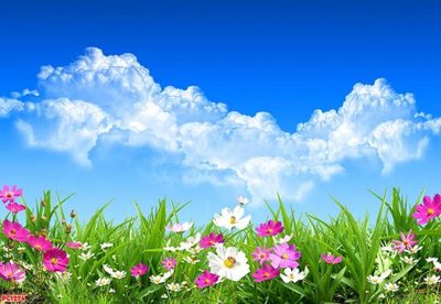 File tranh File tranh phong cảnh PC1274 (gốc) chủ đề tĩnh vật