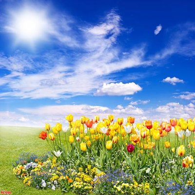 File in lụa File tranh phong cảnh PC1320 (chất lượng cao) File tranh phong cảnh PC1320