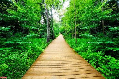 File tranh File tranh phong cảnh PC1329 (gốc) chủ đề tĩnh vật