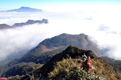 Tải file gốc File tranh phong cảnh PC1358 dùng cho in ấn