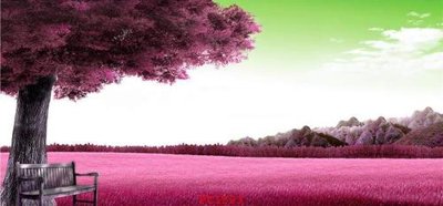 File tranh gốc File tranh phong cảnh thiên nhiên PC1593 (bản quyền) độc đáo