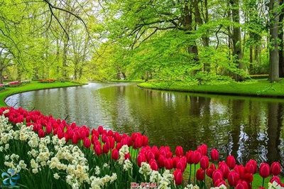 File tranh File gốc phong cảnh PC161 (bản gốc) trang trí văn phòng