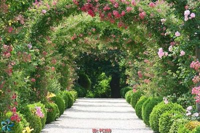 File tranh File gốc phong cảnh PC188 (ảnh gốc) in trần 3D