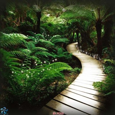 File tranh gốc PSD File gốc phong cảnh PC215 còn nguyên layer