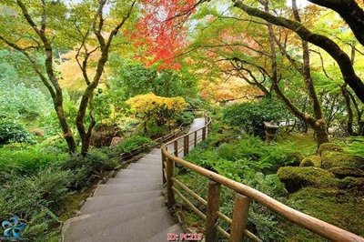 Tải file File gốc phong cảnh PC219 (gốc) chủ đề hoa sen