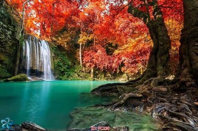 Download file gốc File gốc phong cảnh PC230 (in lụa) hoa lá