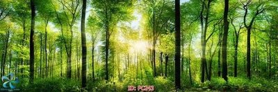 File PSD File gốc phong cảnh PC243 (gốc) cho designer