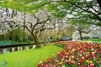 Download file gốc File gốc phong cảnh PC248 (độ nét cao)