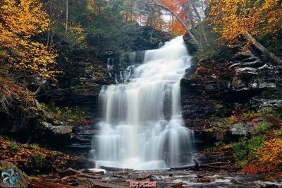 File tranh File gốc phong cảnh PC258 (ảnh gốc) cho in ấn kỹ thuật số