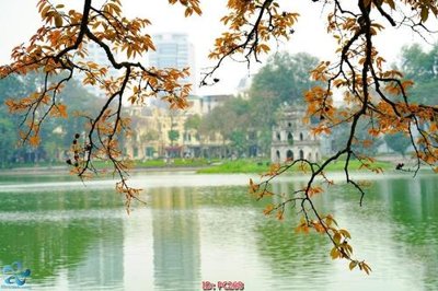 Hình ảnh file gốc in trần nhà File gốc phong cảnh PC268