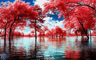 Ảnh gốc File gốc phong cảnh PC281 (độ nét cao) in tráng gương