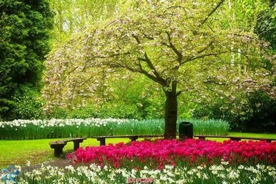 Tải file File gốc phong cảnh PC299 (gốc) làm file in ấn