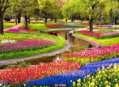 Hình ảnh file gốc File gốc phong cảnh PC302 (chất lượng cao)