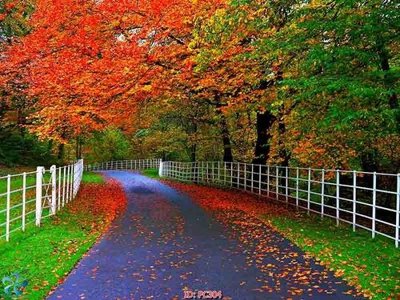 File in ấn File gốc phong cảnh PC304 (bản gốc) chất lượng cao