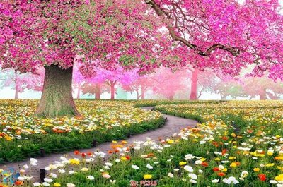 Tải file File gốc phong cảnh PC318 (gốc) chủ đề tôn giáo