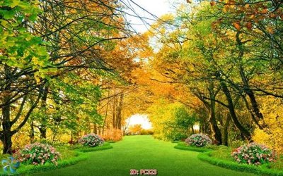 Tải file File gốc phong cảnh PC323 (ảnh gốc) file TIFF