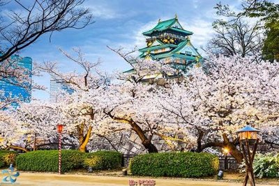 File ảnh File gốc phong cảnh PC325 (gốc) in poster