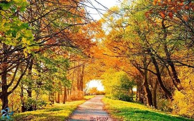 File gốc File gốc phong cảnh PC327 (PSD/TIFF) độ phân giải cao