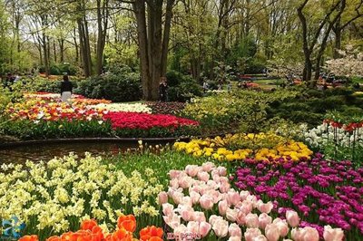 File gốc File gốc phong cảnh PC343 (in ấn) không giới hạn