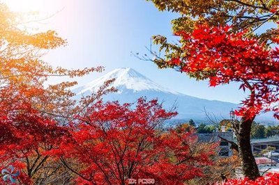 File tranh File gốc phong cảnh PC350 (ảnh gốc) cho in ấn kỹ thuật số