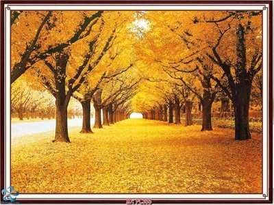 File gốc File gốc phong cảnh PC355 (chuẩn CMYK) cho nhà in