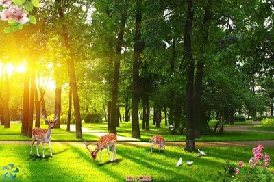 File tranh ảnh gốc File gốc phong cảnh PC356 dùng cho in khổ lớn