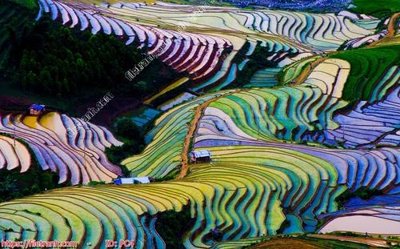 Ảnh mô tả file gốc in mica File gốc phong cảnh PC4