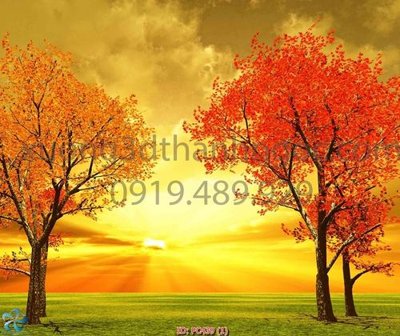 File ảnh File gốc phong cảnh PC439 (gốc) in standee