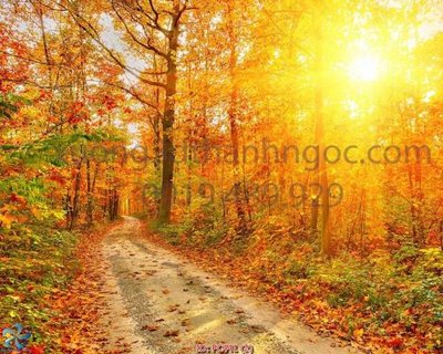 File tranh File gốc phong cảnh PC441 (bản gốc) in lụa 5D