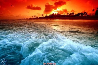 File in trần File gốc phong cảnh PC450 (bản gốc) hoa văn