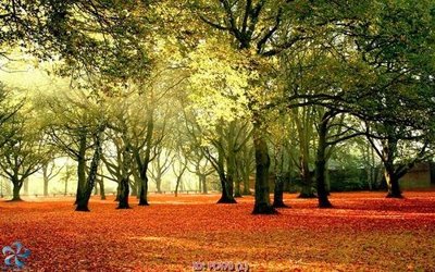 File ảnh File gốc phong cảnh PC470 (gốc) in quảng cáo ngoài trời