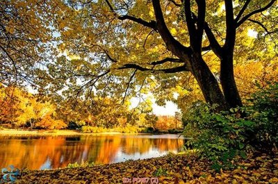 File tranh File gốc phong cảnh PC487 (ảnh gốc) in trần nhà