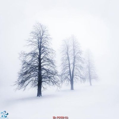 File tranh gốc File gốc phong cảnh PC490 (bản quyền) file PSD