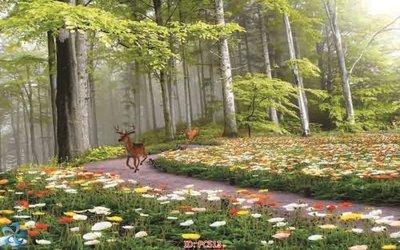 File ảnh File gốc phong cảnh PC513 (gốc) trang trí khách sạn