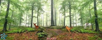 File gốc File gốc phong cảnh PC515 (cho in UV) siêu nét