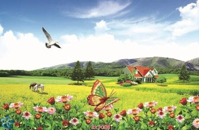 File gốc in ấn File gốc phong cảnh PC535 chất lượng vượt trội