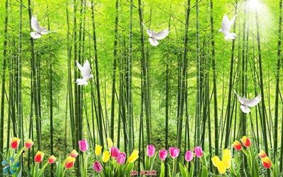 File in ấn File gốc phong cảnh PC552 (bản gốc) chất lượng cao