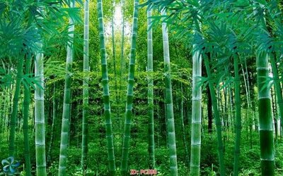 File in trần File gốc phong cảnh PC598 (file gốc) chủ đề vũ trụ