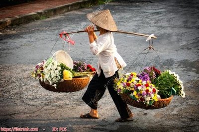 File ảnh File gốc phong cảnh PC6 (gốc) in quảng cáo ngoài trời