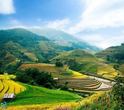 Tải file PSD File gốc phong cảnh PC603 (nguyên layer) để in