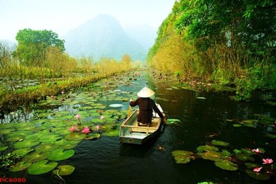 File gốc in ấn File tranh phong cảnh việt nam PC6080 (sẵn sàng tải về)