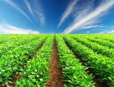 File gốc File tranh phong cảnh việt nam PC6108 (PNG) trong suốt (transparent)