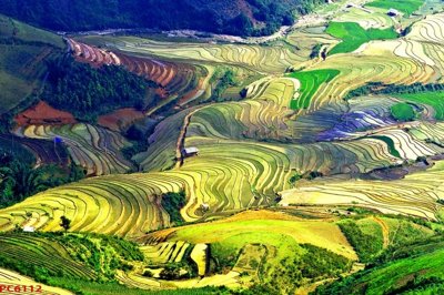 File in trần File tranh phong cảnh việt nam PC6112 (bản gốc) mây trời