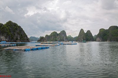 File gốc in ấn File tranh phong cảnh việt nam PC6125 độ phân giải cao