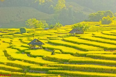 Tải file File tranh phong cảnh việt nam PC6129 (gốc) làm file thiết kế