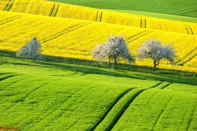 Download file File tranh phong cảnh việt nam PC6162 (chuẩn in) File tranh phong cảnh việt nam PC6162