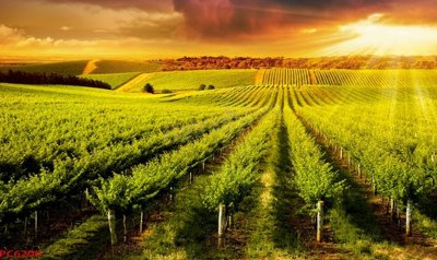 File gốc File tranh phong cảnh việt nam PC6200 (cho in 3D) độc đáo