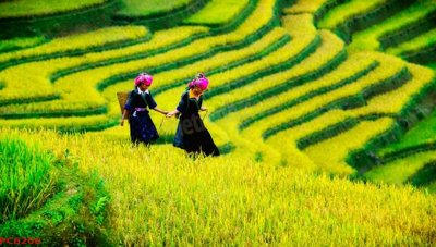 Download file File tranh phong cảnh việt nam PC6206 (gốc) in mica bàn thờ