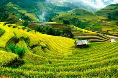 Tải file File tranh phong cảnh việt nam PC6207 (gốc) chủ đề tôn giáo